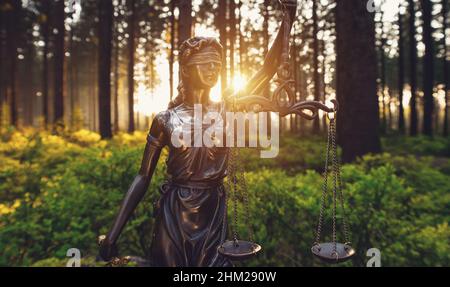 Statue de Lady Justice dans les bois Banque D'Images