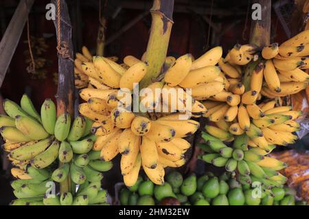 Lumajang, Indonésie - 13 janvier 2022 : Pisang Tanduk ou Pisang Agung et Pisang Mas Kirana vendeur, dans un marché traditionnel. Parfait pour l'arrière-plan Banque D'Images