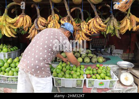 Lumajang, Indonésie - 13 janvier 2022 : Pisang Tanduk ou Pisang Agung et Pisang Mas Kirana vendeur, dans un marché traditionnel. Parfait pour l'arrière-plan Banque D'Images