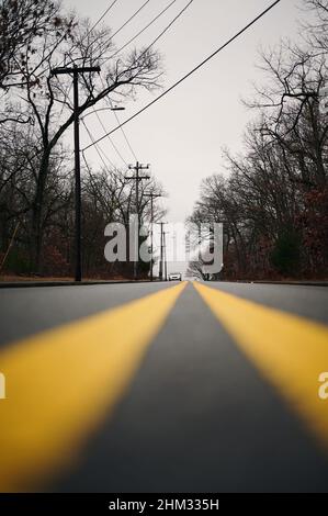 Gros plan d'une route asphaltée avec des lignes jaunes et des arbres sans feuilles des deux côtés Banque D'Images