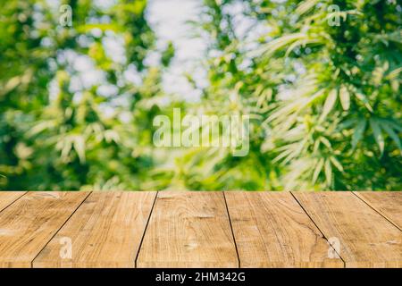 Cannabis sativa ou plante verte de marijuana avec un espace de table en bois pour les produits d'huile de chanvre montage de fond Banque D'Images