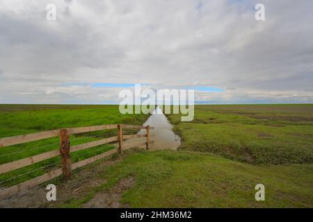 Petit ruisseau sur Hamburger Hallig, Nordfriesland, Schleswig-Holstein-Allemagne, vue extérieure pittoresque Banque D'Images