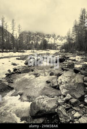 Vallée d'Aktru dans les montagnes de l'Altaï.Rivière de montagne parmi les rochers sur le fond des montagnes, noyant dans les nuages.Nature pure de la Sibérie Banque D'Images