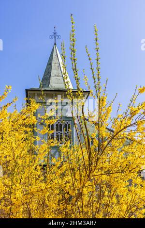 Maison en bois pittoresque avec une tour et un Bush à fleurs Banque D'Images