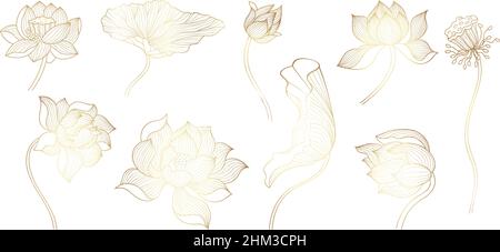 Lotus Golden Line.Fleurs fleuries en or, fleurs uniques.Belles loteries décoratives, symboles de luxe chinois ou indien, nowaday Illustration de Vecteur