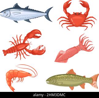 Dessins animés fruits de mer.Poisson frais, homard, crabe et thon rouge.Produits bruts pour le magasin ou le restaurant.Des aliments sains comme des crevettes et des calmars pour des plats délicats.Créatures aquatiques pour le jeu de vecteurs de marché Illustration de Vecteur