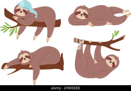Joli tissu paresseux.Personnages de dessin animé endormis accrochés à la branche.Animaux amusants dans différentes poses.Charmant arbre d'escalade de mammifères de la forêt tropicale, se détendre sur la plante dans le chapeau de couchage ensemble de vecteur isolé Illustration de Vecteur