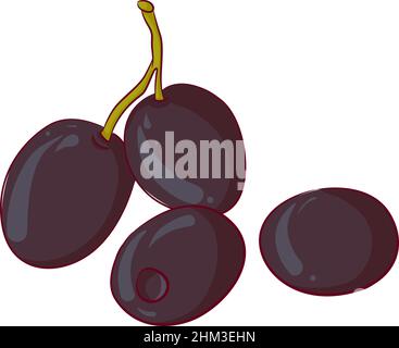 Quatre olives noires Illustration de Vecteur