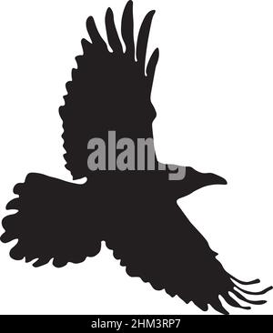 Image vectorielle d'un corbeau en vol créée en isolant le contour d'un oiseau d'une photographie et en appliquant un remplissage noir. Illustration de Vecteur