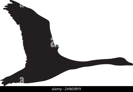 Image vectorielle d'un cygne en vol créée en isolant le contour d'un oiseau d'une photographie et en appliquant un remplissage noir. Illustration de Vecteur