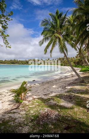 Plage de sable blanc avec cocotiers sur l'île de Lifou, en Nouvelle-Calédonie. Banque D'Images