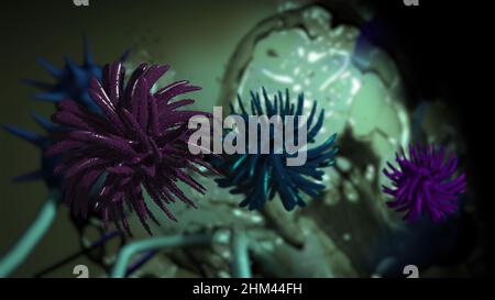 3D illustration - Flurona, double infection de Covid et la grippe.Coronavirus muté SRAS-COV-2. Banque D'Images