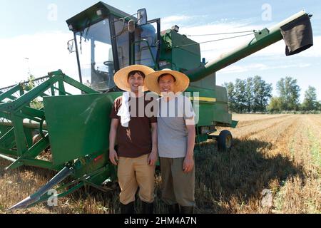 Réaliser une récolte mécanisée dans les champs des agriculteurs Banque D'Images