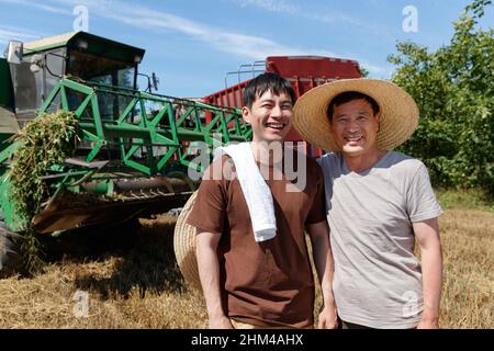 Réaliser une récolte mécanisée dans les champs des agriculteurs Banque D'Images