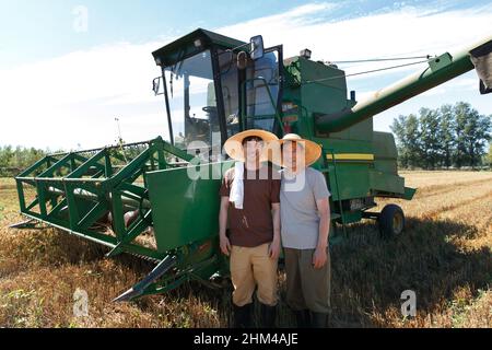 Réaliser une récolte mécanisée dans les champs des agriculteurs Banque D'Images