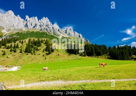 Alpes autrichiennes, à proximité et Arturhaus Bischofshofen Banque D'Images