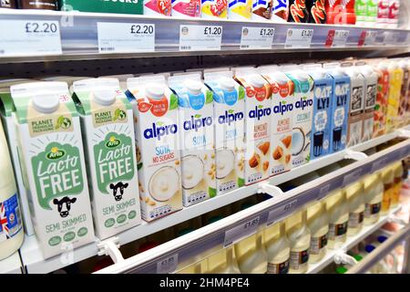 Différents laits en vente dans un supermarché UK Banque D'Images