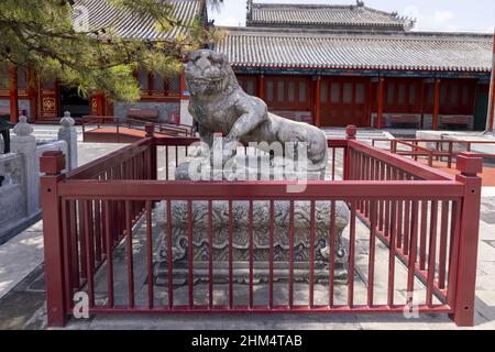 Temple miao Ying de Beijing, construit dans les halls de nuit Banque D'Images