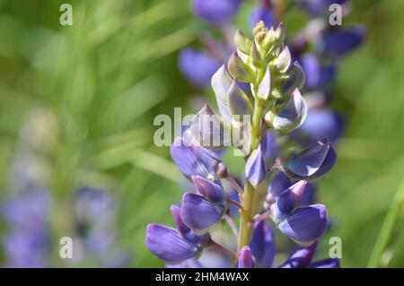 Fürth Banque D'Images