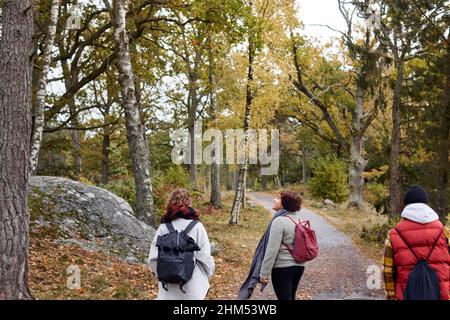 Amis à pied dans la forêt d'automne Banque D'Images