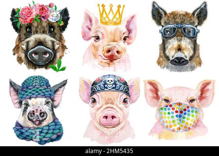 Illustration aquarelle de cochons dans une couronne de pivoines, chapeau d'hiver, masque de protection médical, lunettes, bandana et couronne dorée Banque D'Images