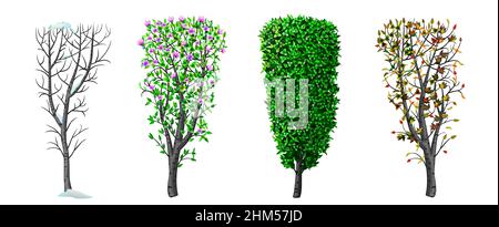 Graphiques vectoriels.Concept Bush saison hiver printemps automne été.Plantes et nature.Bannière d'arrière-plan Illustration de Vecteur