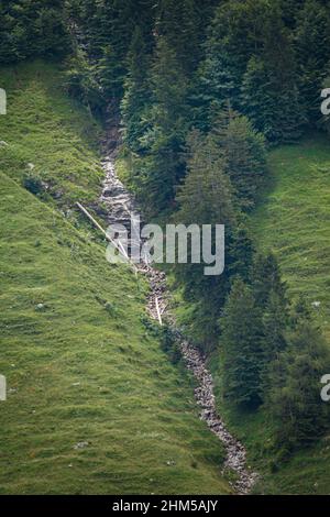 Petite cascade dans les collines avec prairie et arbres Banque D'Images