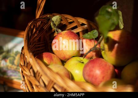 Pommes dans un panier. Fruits en automne. Collecte. Banque D'Images