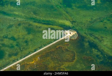 Vue aérienne, Alcudia, coeur de l'île sur es Llac Gran, grand lac à Alcudia, Pla de na Tesa, Cabaneta (sa), Majorque, Iles Baléares, Banque D'Images