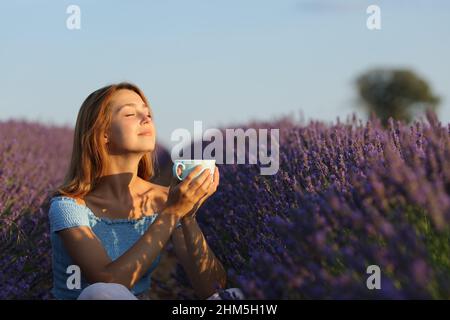 Une femme heureuse se détendant en buvant un café dans un champ de lavande au coucher du soleil Banque D'Images