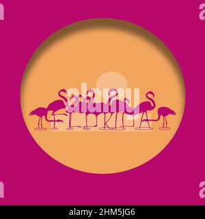 La Floride est énoncée dans les jambes d'une volée de flamants debout dans l'eau peu profonde au coucher du soleil dans cette illustration à propos de tropical en Floride, aux États-Unis. Banque D'Images