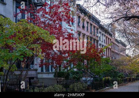 Automne avec différentes couleurs d'arbres sur les verges de grès brun dans le quartier de Brooklyn, NY. Belle automne avec des feuilles qui se transforment en rouge et jaune Banque D'Images