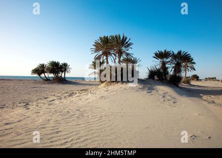Belle vue sur la plage d'Umm Bab AU QATAR Banque D'Images