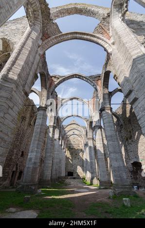 Vue intérieure, regardant vers le ciel la ruine de Sankta Katarina, une imposante église gothique en ruines à Visby dans le Gotland, Suède Banque D'Images