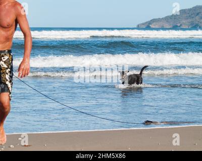 Chien noir qui froille dans le surf Banque D'Images