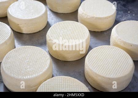 Gros plan de beaux fromages artisanaux frais dans une ferme laitière de Minas Gerais, Brésil. Concept de nourriture, alimentation saine, santé, bien-être, cuisine, frais Banque D'Images