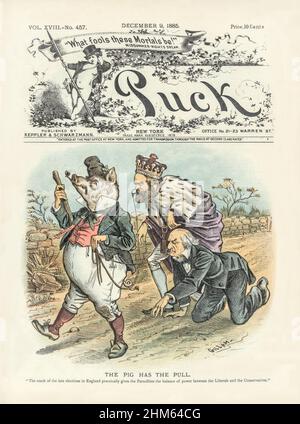 Une 19th couverture du American Puck Magazine de la fin du siècle avec une caricature d'un cochon irlandais appelé « Parnell », portant un shillelagh étiqueté « obstruction » marchant sur une route avec des laisses attachées à un anneau de nez sur le marquis de « Salisbury » et sur l'ancien Premier ministre britannique William E. Gladstone,ramper sur les mains et les genoux. Banque D'Images