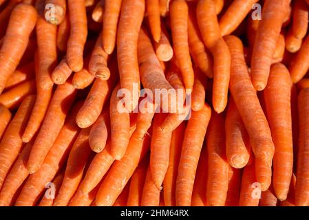 Photo plein format de carottes au Market Stall. Banque D'Images