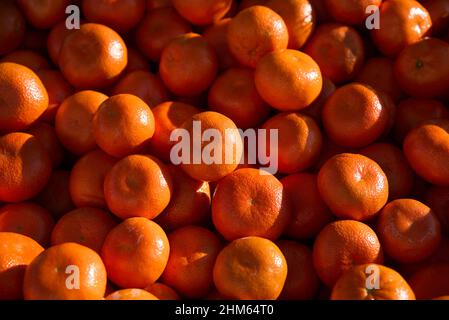Bouquet d'oranges mandarines fraîches sur le marché. Banque D'Images