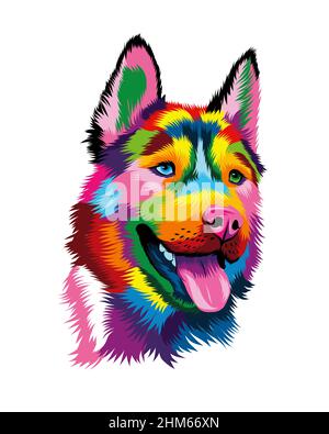 Portrait abstrait de husky sibérien à partir de peintures multicolores.Portrait de museau de chiot, museau de chien.Mise en plan colorée.Illustration vectorielle des peintures Illustration de Vecteur