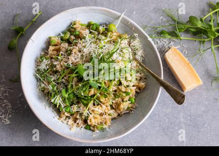 Risotto aux fèves, pois verts et pousses de pois Banque D'Images