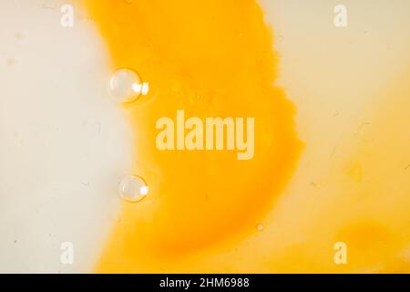 Photo macro du jaune d'œuf de l'œuf fissuré.Recette de cuisine à base d'œufs. Banque D'Images
