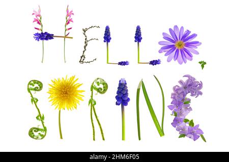 Bonjour printemps.lettres florale isolées sur fond blanc . Bannière de ressort. Alphabet floral. Heure de printemps. Banque D'Images