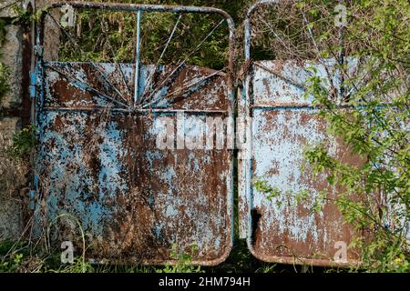 Ancienne porte bleue rouillée sur un terrain abandonné Banque D'Images