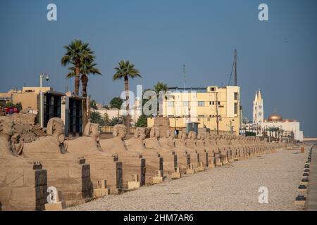 Louxor, Egypte - 2 janvier 2022 : Avenue des Sphinxes à côté du Temple de Louxor (Louxor, Egypte). Banque D'Images