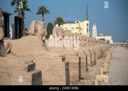 Avenue de Sphinxes à côté du temple de Louxor (Louxor, Egypte). Gros plan et ciel bleu Banque D'Images