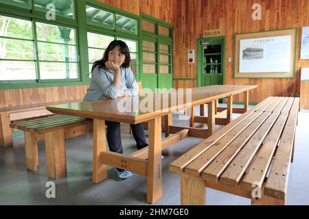 Un visiteur se repose à l'intérieur chaleureux de l'intérieur en bois de la gare historique de Kamuikotan, assis près de longues tables et de fenêtres vertes à Asahikawa. Banque D'Images