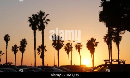 Ciel orange, silhouettes de palmiers sur la plage au coucher du soleil, côte californienne, États-Unis. Parc en bord de mer au coucher du soleil à San Diego, Mission Beach Vacations Resort sur la côte pacifique. Été tropical américain. Banque D'Images