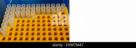 Bannière Web pour tube eppendorf dans un portoir en plastique orange pour micropipette Banque D'Images