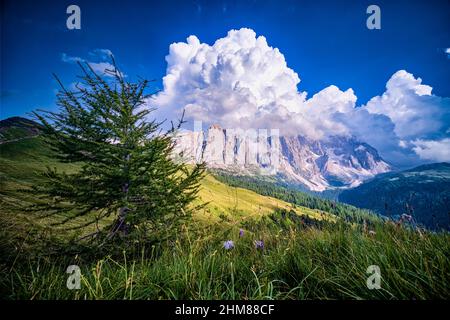 Sommets et rochers nord du groupe Pala, nuages d'orage s'amassent, vu du dessus du col de Valles. Banque D'Images